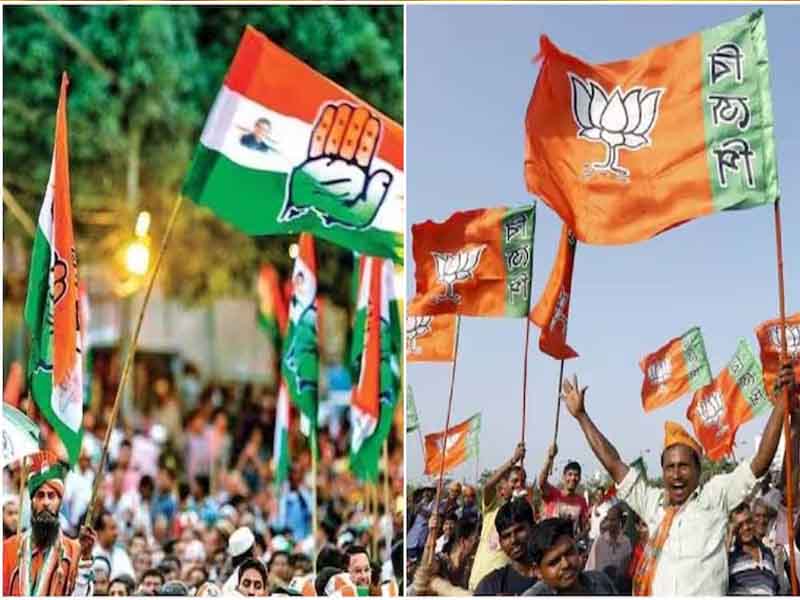 BJP strategy