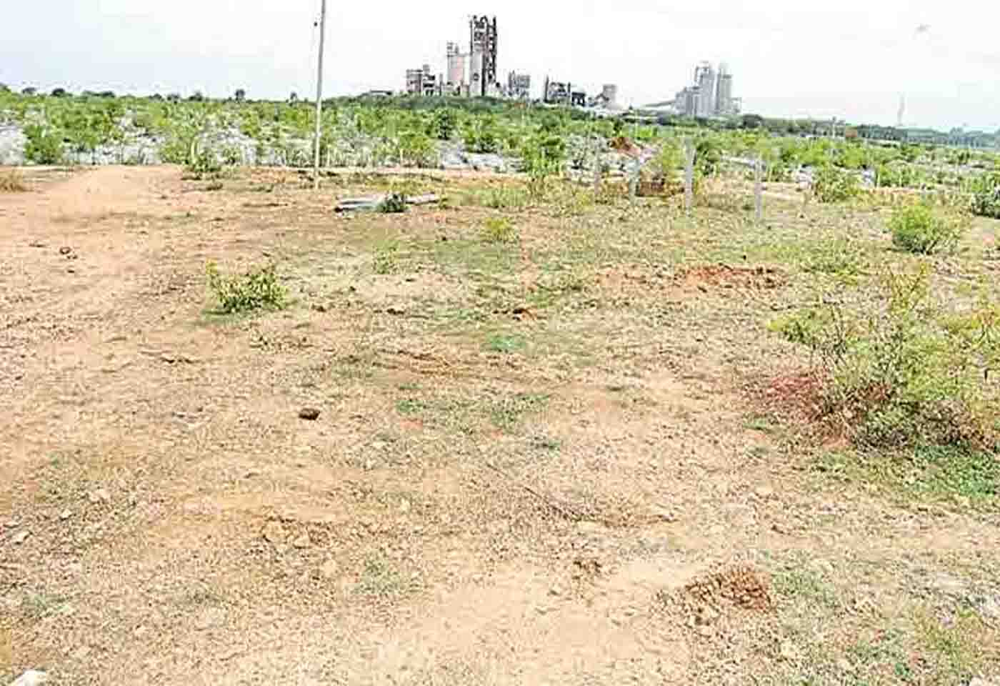 Government lands