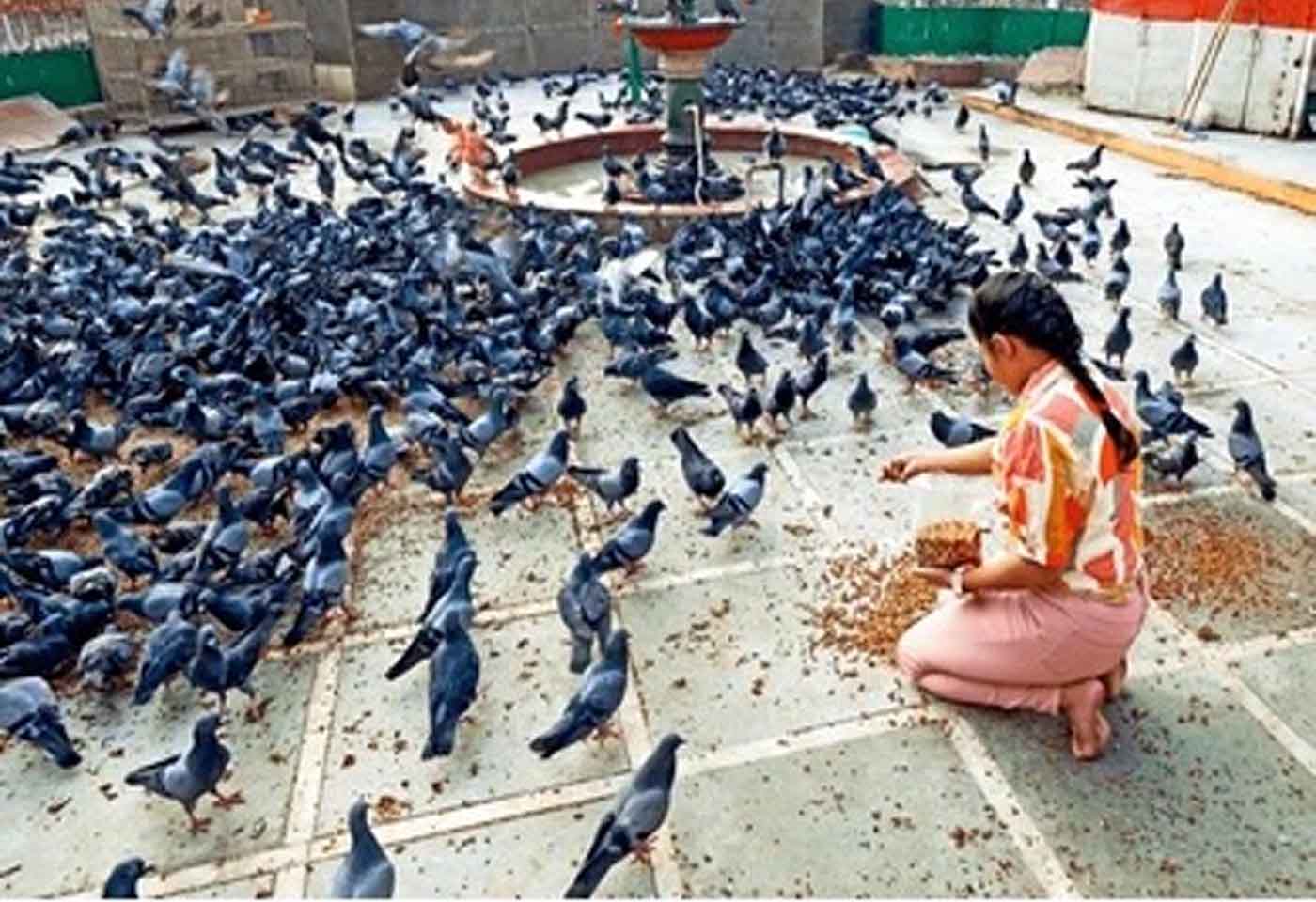 Mumbai Municipal
