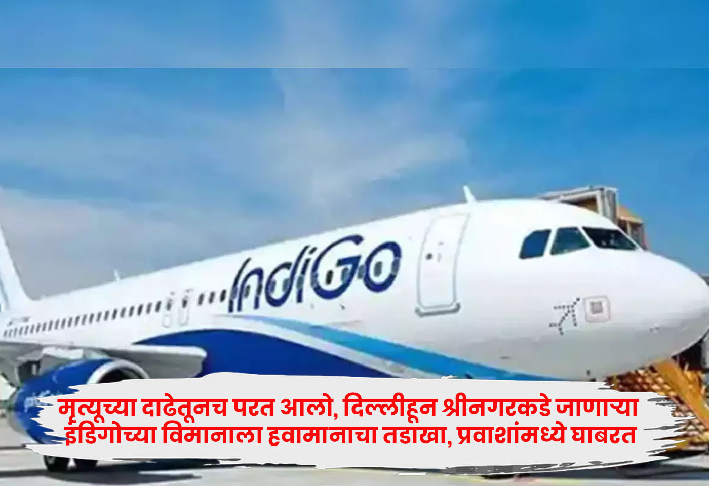 IndiGo flight
