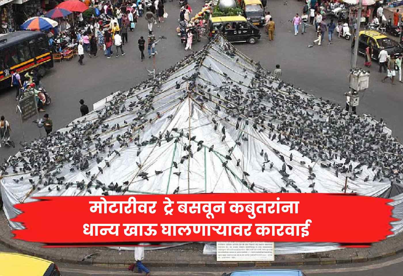 Dadar Kabutar Khana